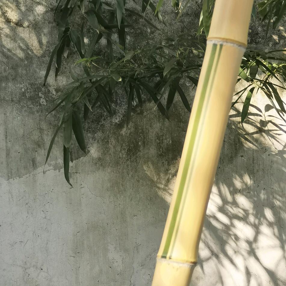 爱生活乐分享