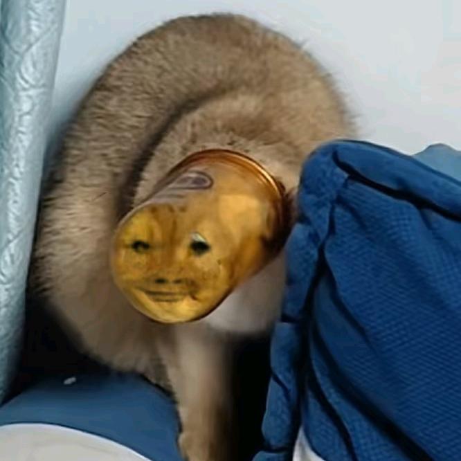 碗斗丝真爱粉。