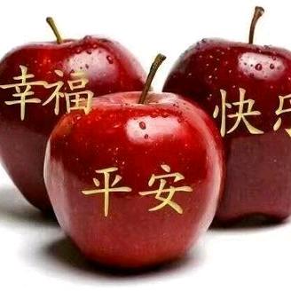 圣城华姐