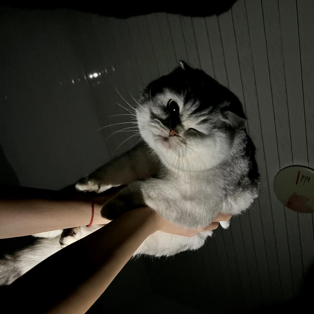 南塘