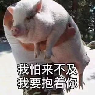 巴塔酷兹