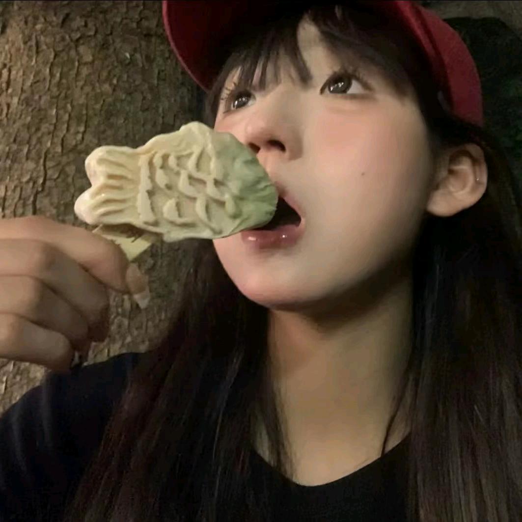 小猫爱摸鱼