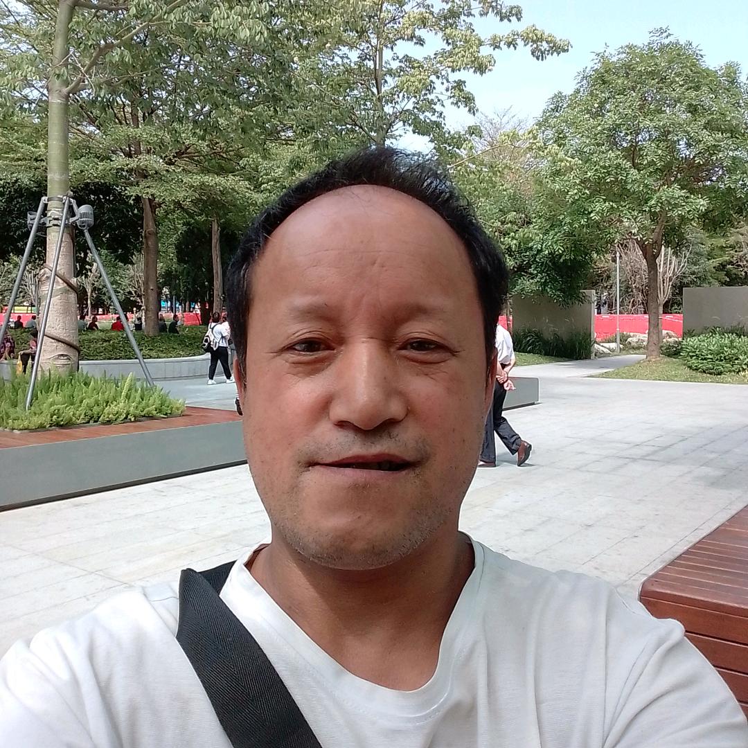 光头强护外走播