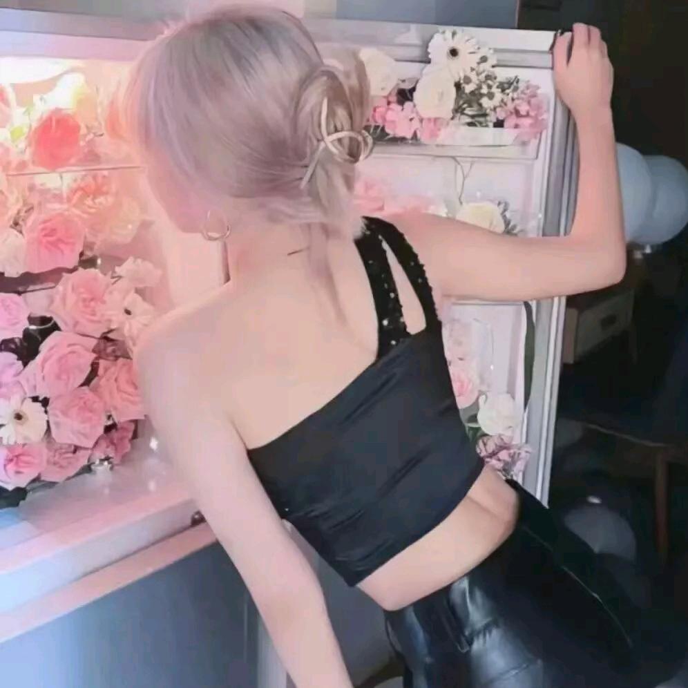 北风承欢̶ღ̶̶南山