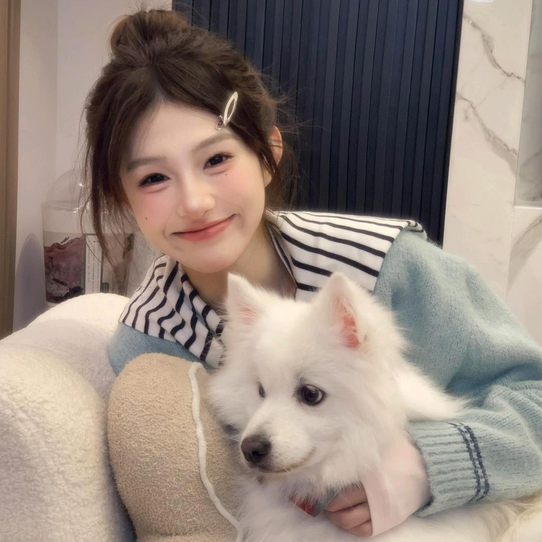 小狗旺旺