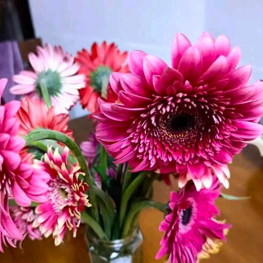 好好爱自己🤗🤗