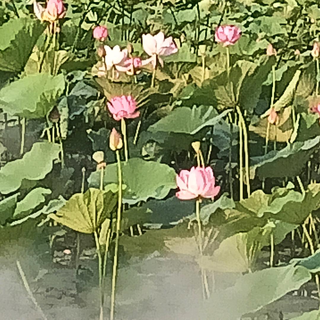一缕阳光