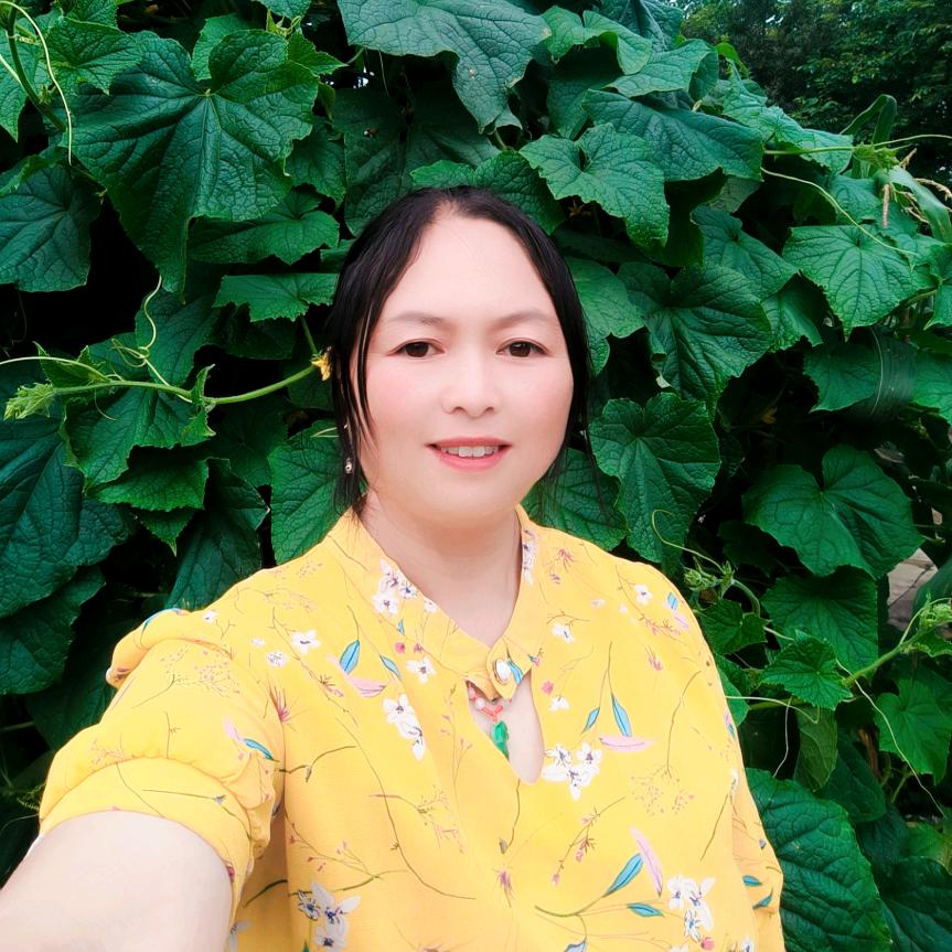 云妹（12月2号晚上7：10首播）头像