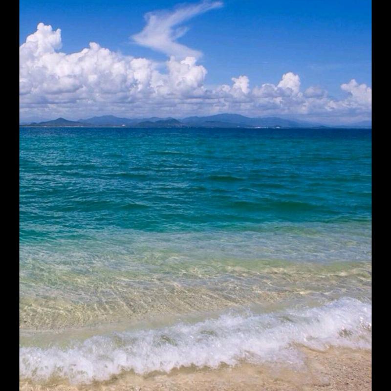 海花岛矜持哥
