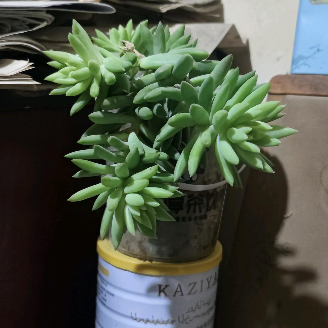 小城故事
