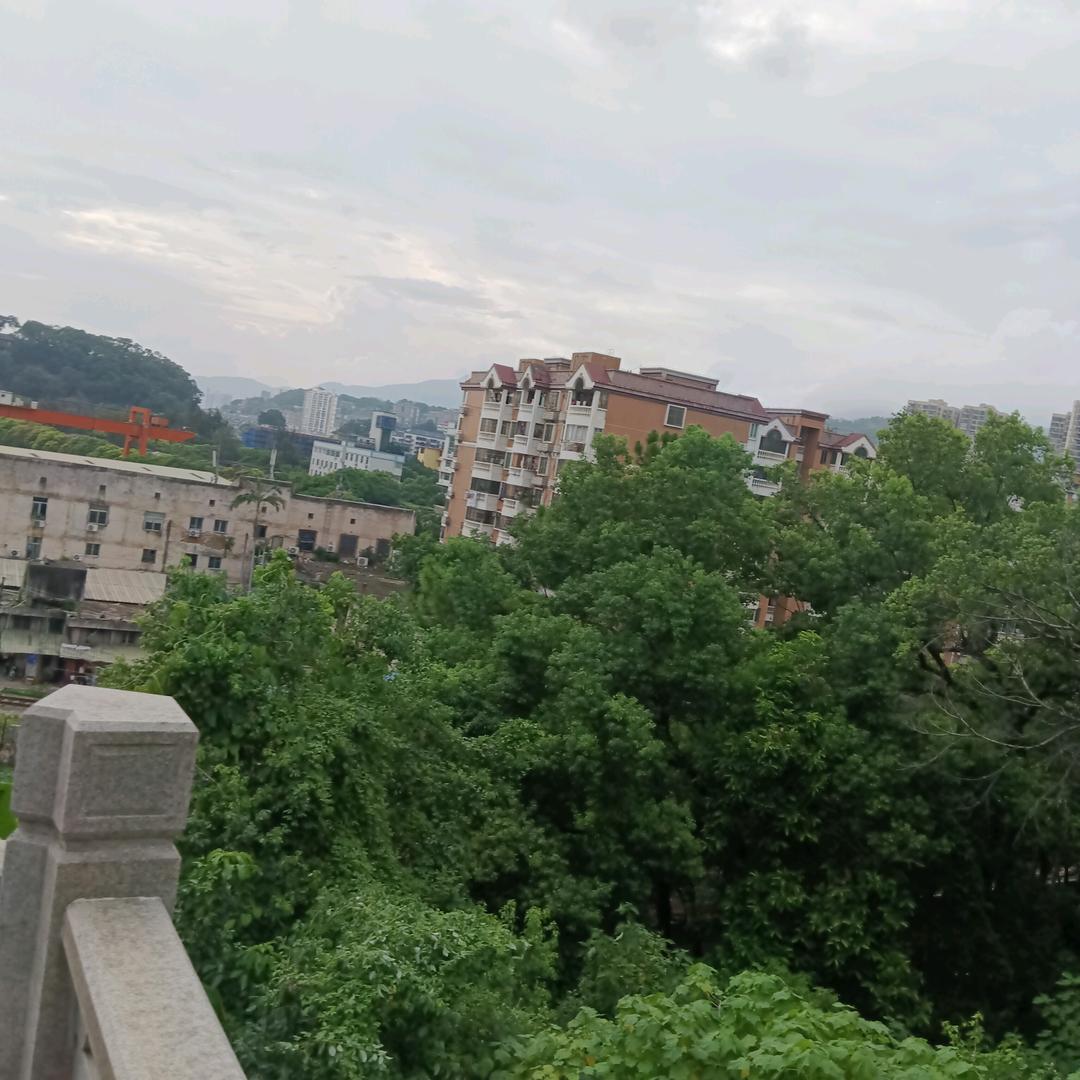 抖音王姐