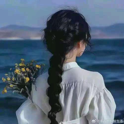 春风姐