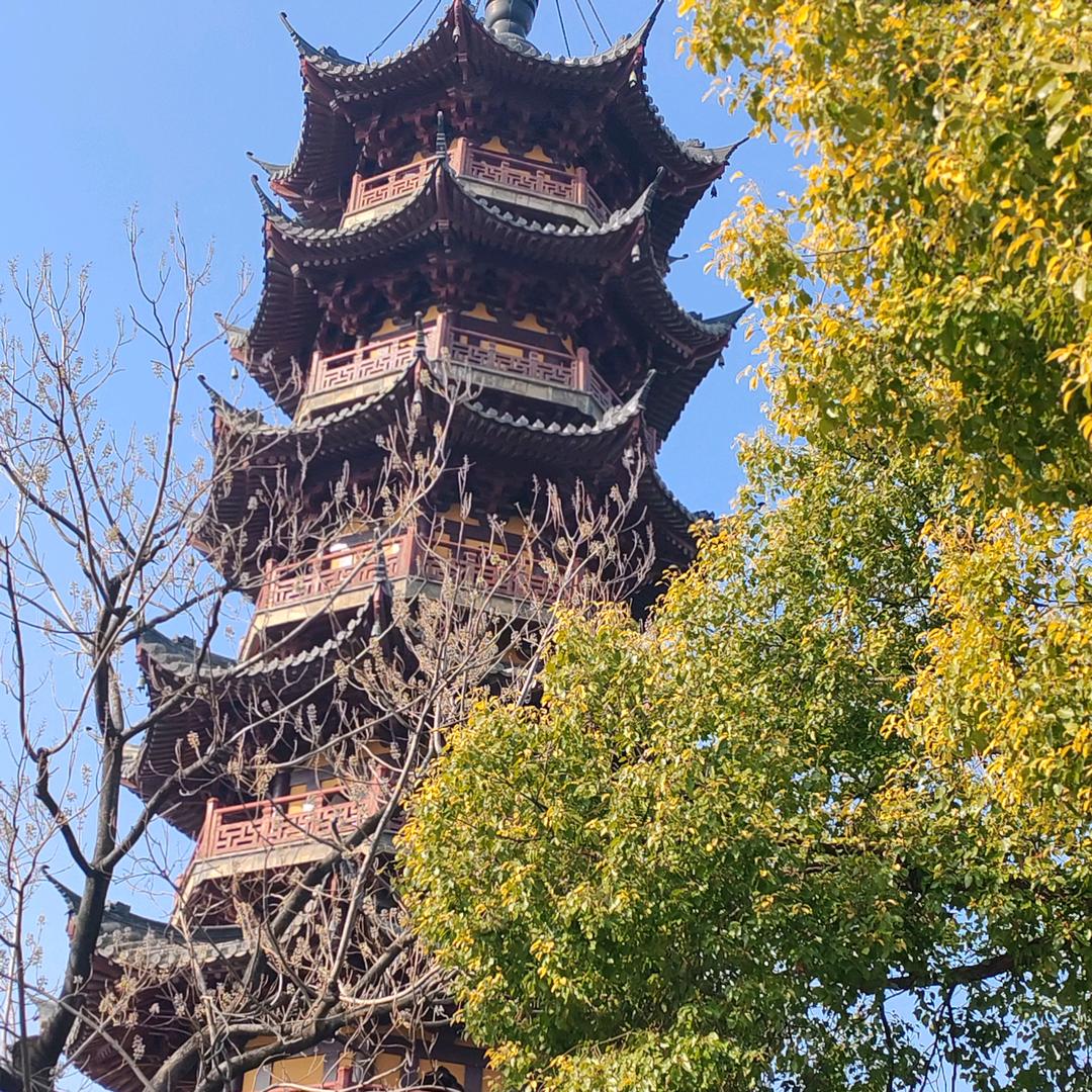 &上海LH刘老师