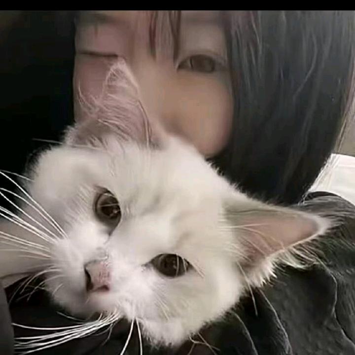 茹宝有只喵