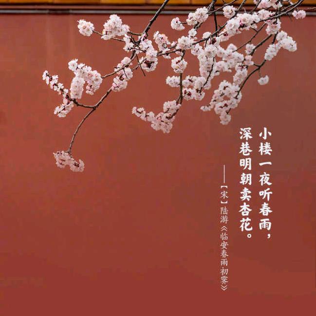 嘉阳说故事