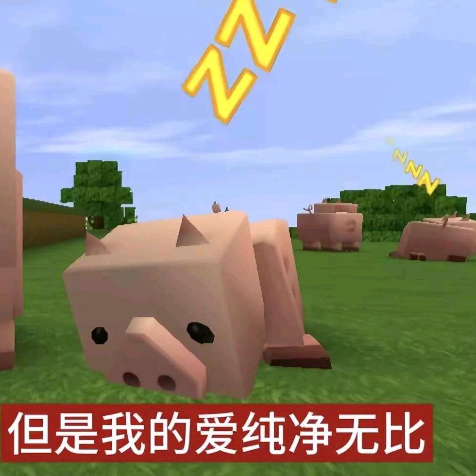 挑剔
