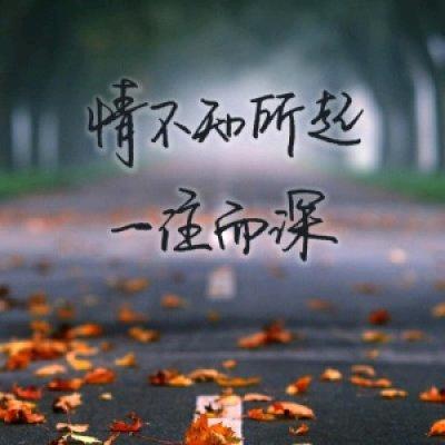 独狼🐺（此号停用）