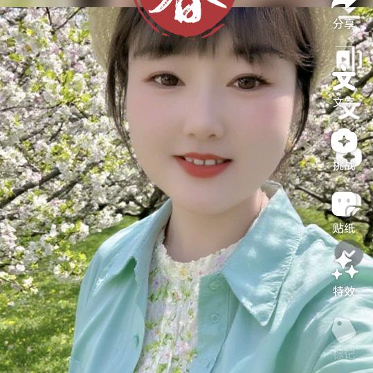 铿锵玫瑰