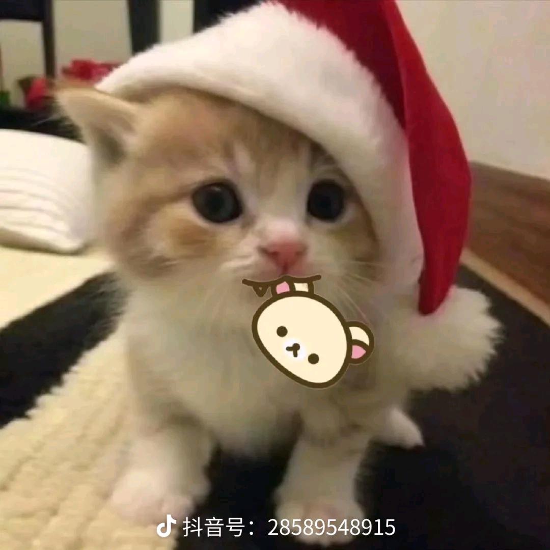 忒莫可欣