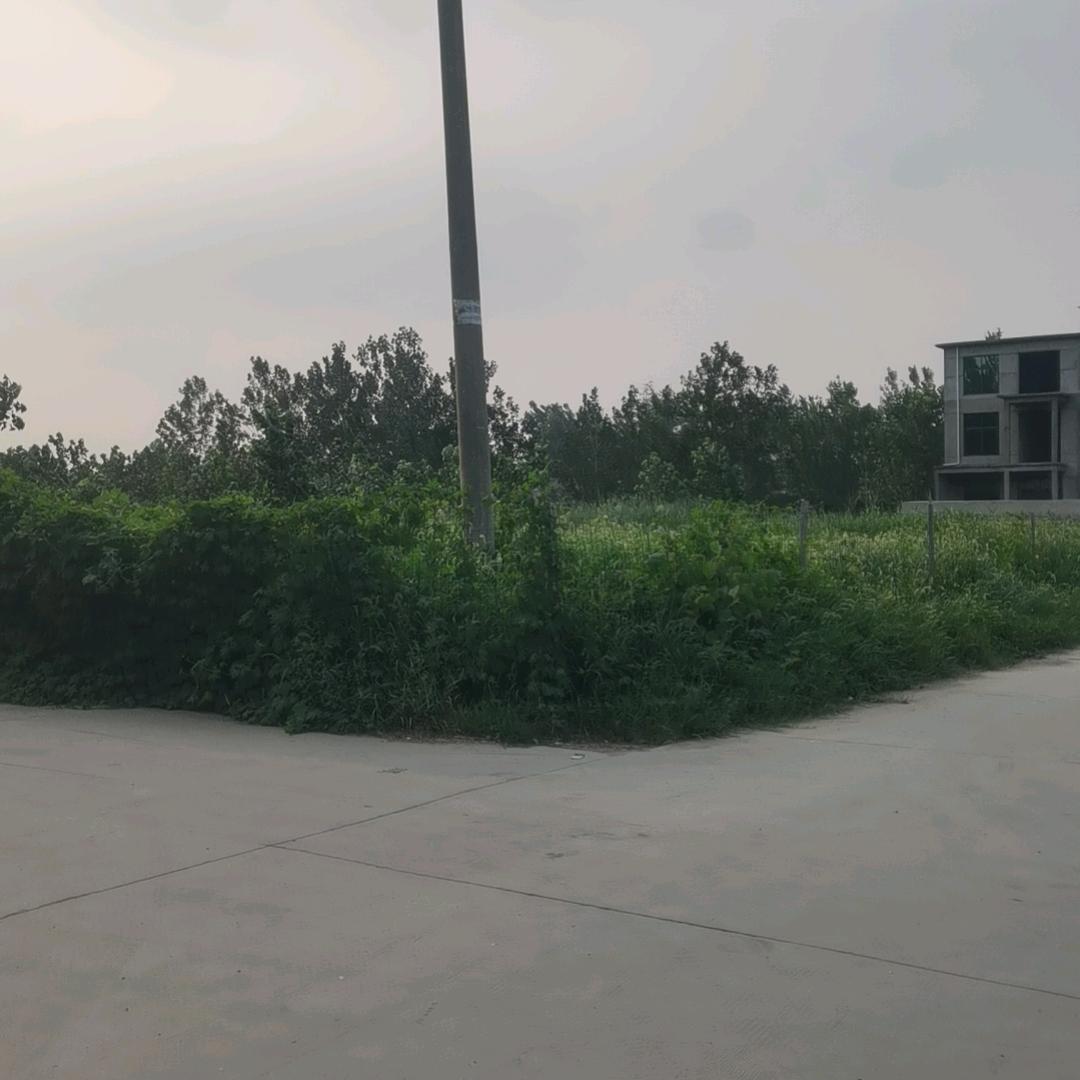 回忆