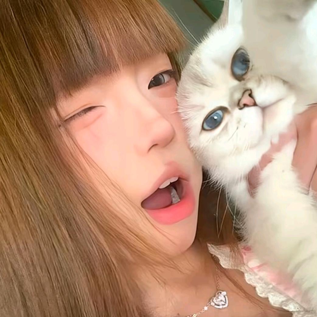我就一个晨晨^