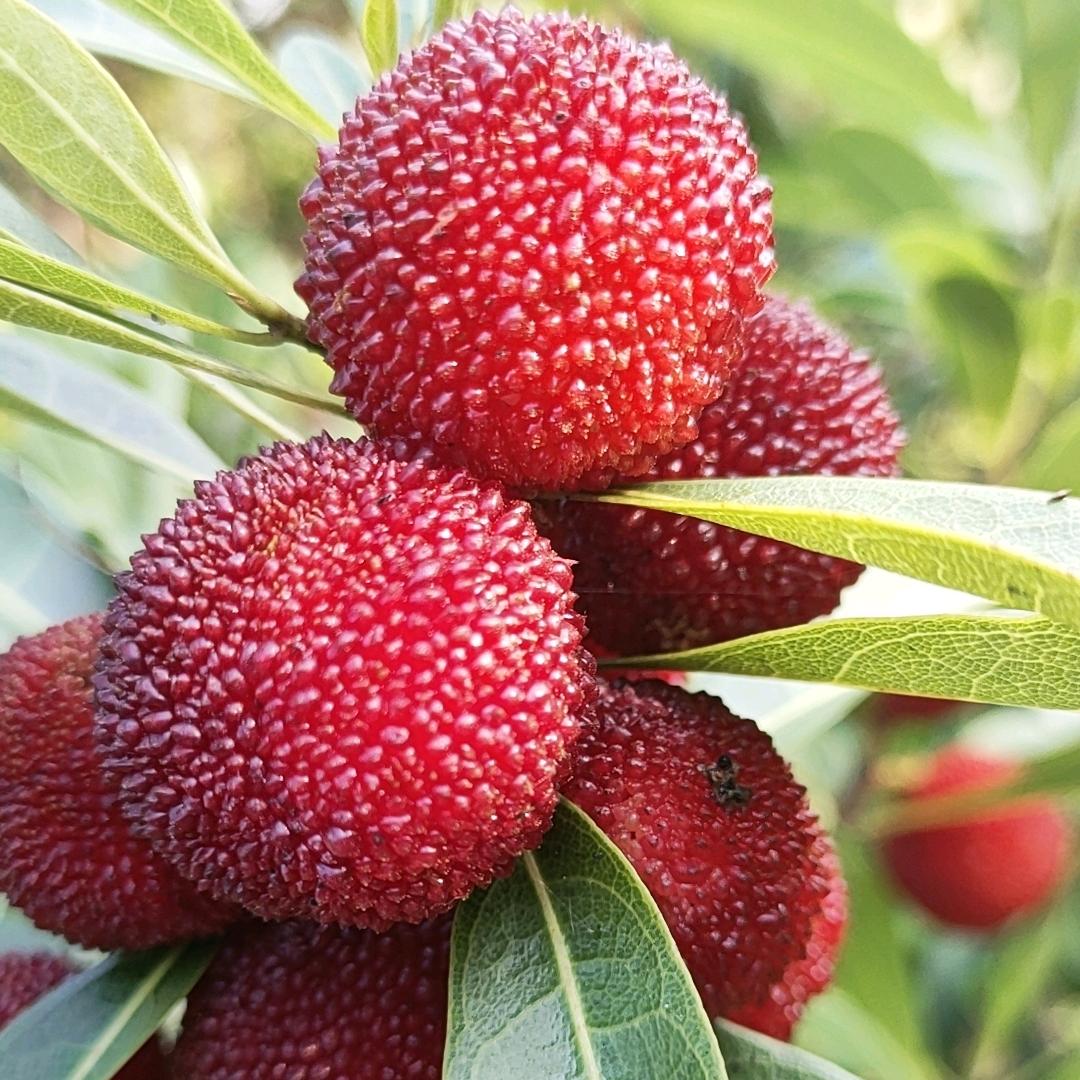 顺驿温泉大酒店