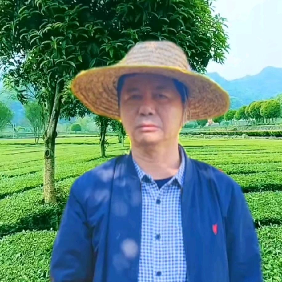 丰收果叔