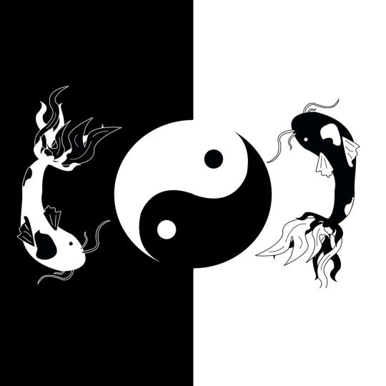摆烂小青蛙