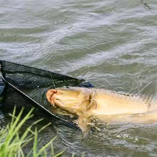 北程休闲垂钓基地
