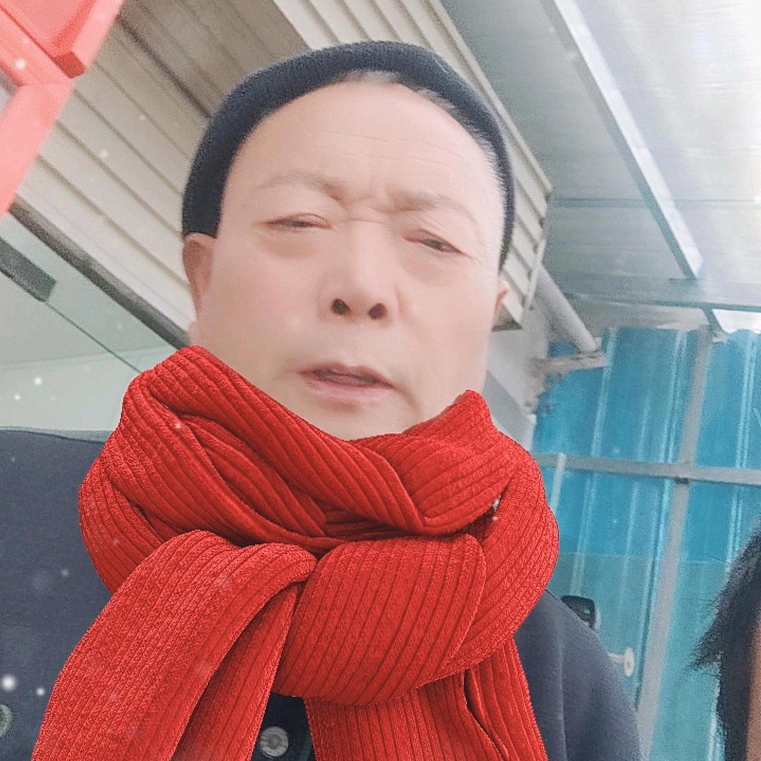 卫照元
