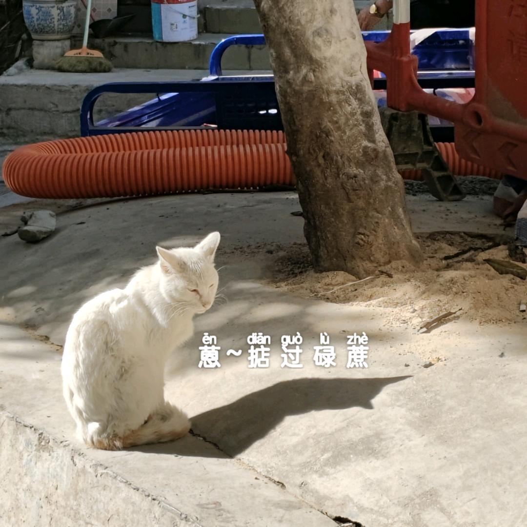 BR美丽哲学-康仔