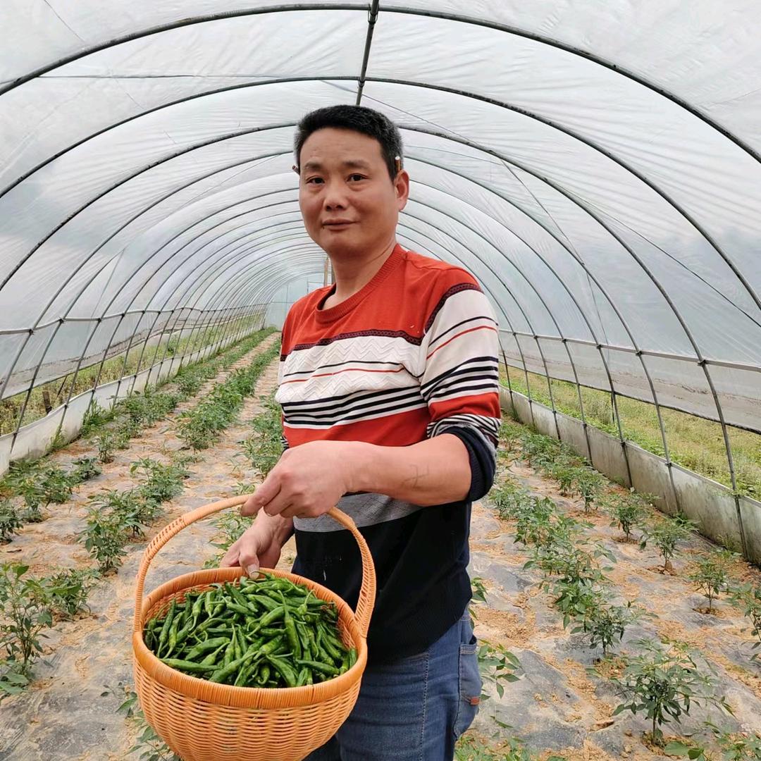 樟树港辣椒二哥