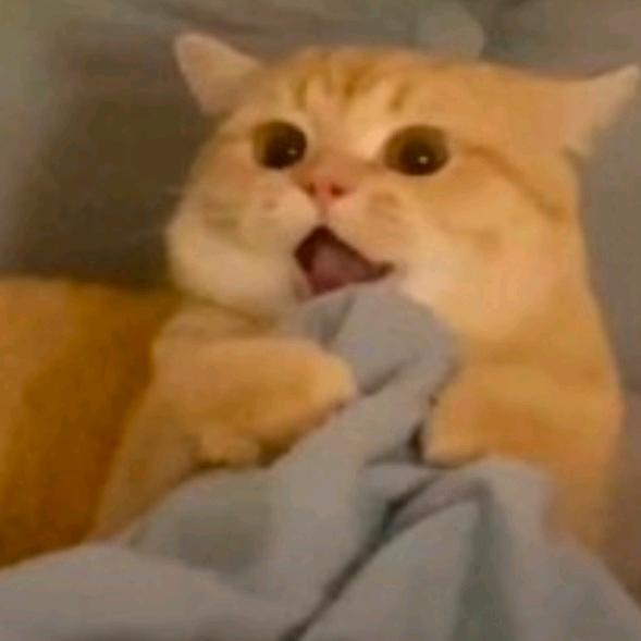 会中一百万✌✌✌