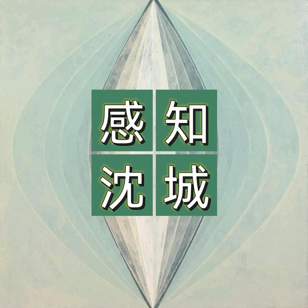 感知沈城
