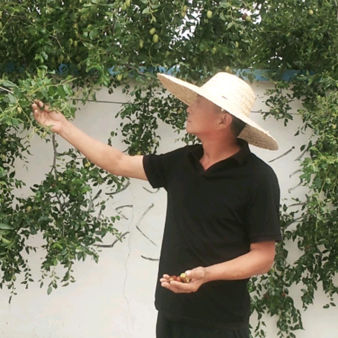 北镇市大市镇高林村农副产品合作社