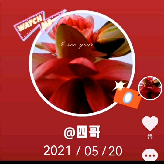 四哥