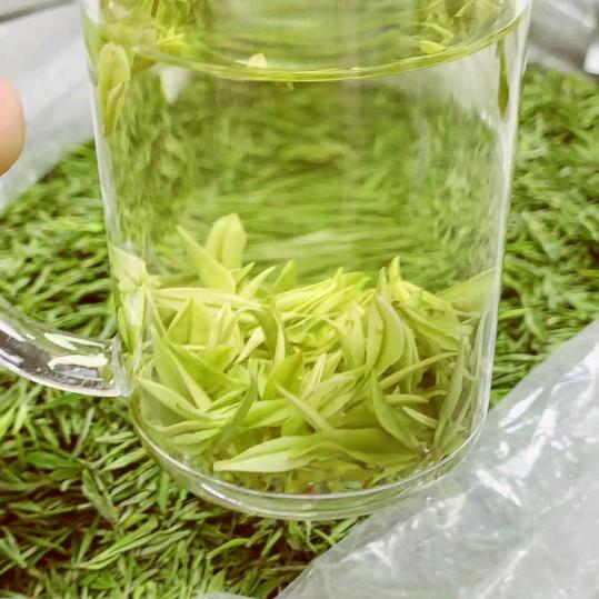 中国名茶  批发零售