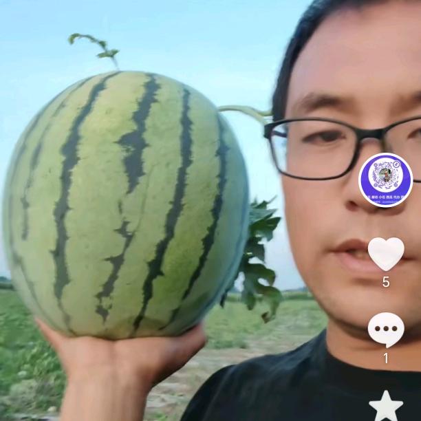 河北 小石 果蔬 批发 主营 水果 蔬菜