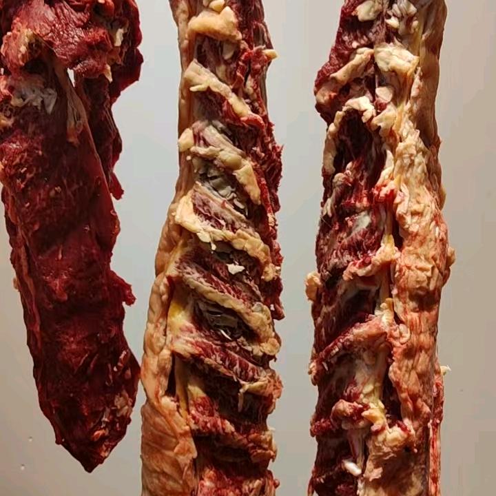 呼伦贝尔草地溜达牛