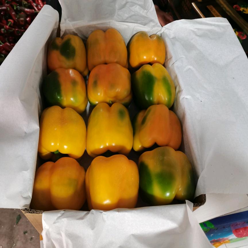 Mary-蔬菜出口祥佳Aowoshi果蔬