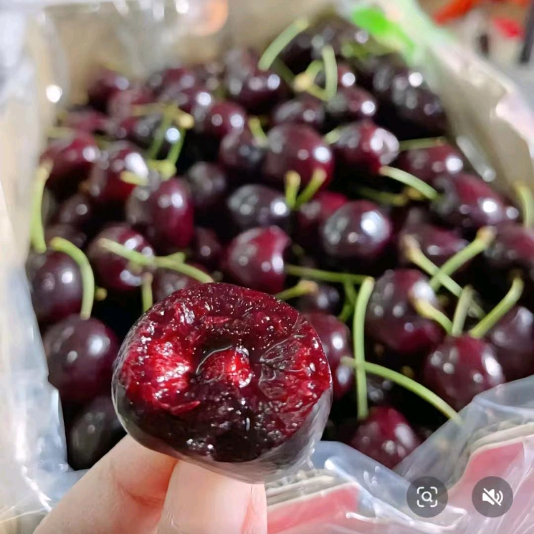 世界果🔥