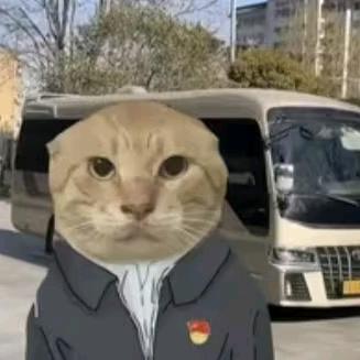 蜂鸟旅人