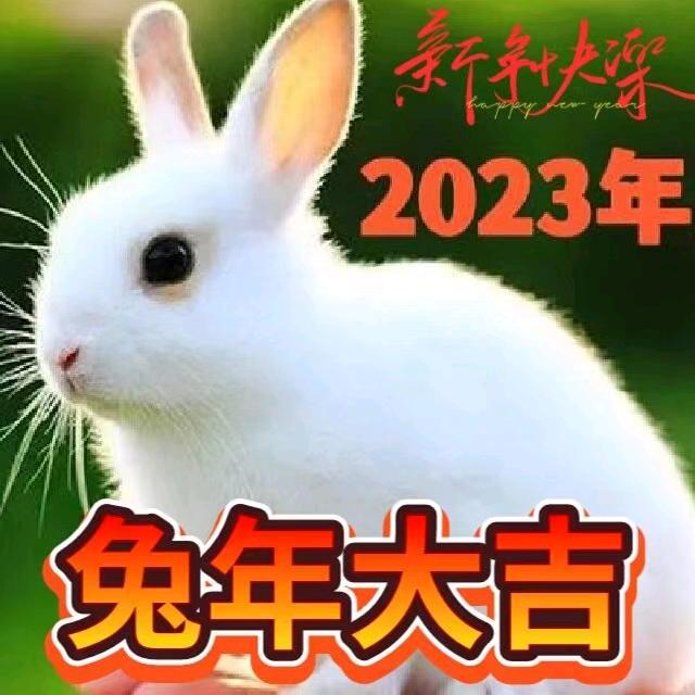 千秋大业一壶茶