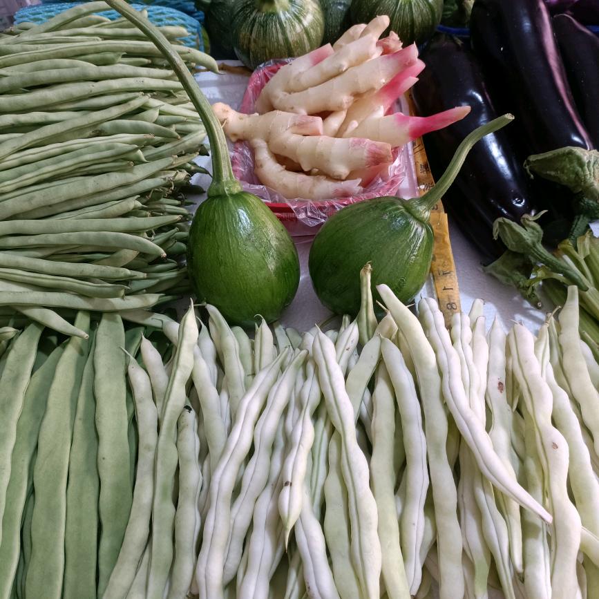 我是云南的你是哪里的