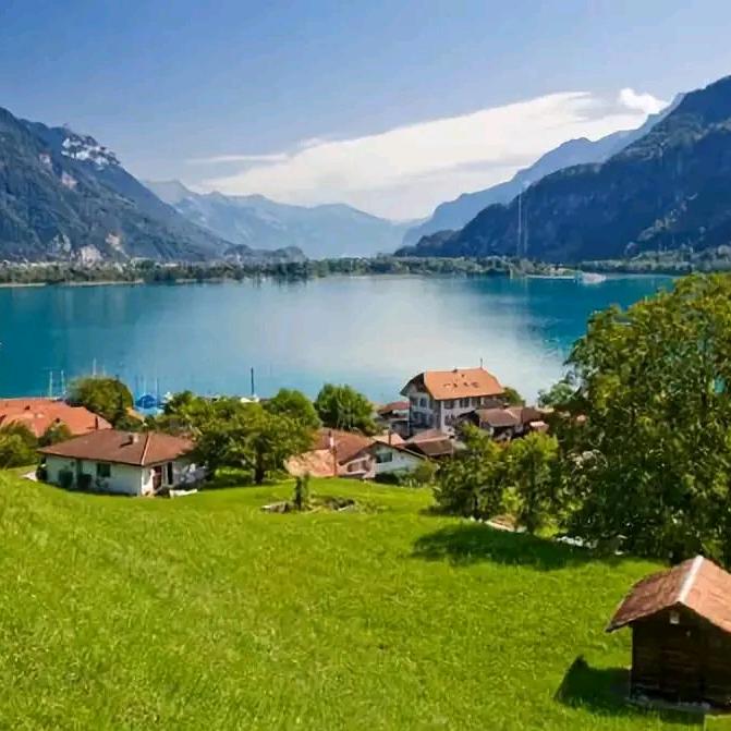 布妍诚窗帘运城盐湖店店员