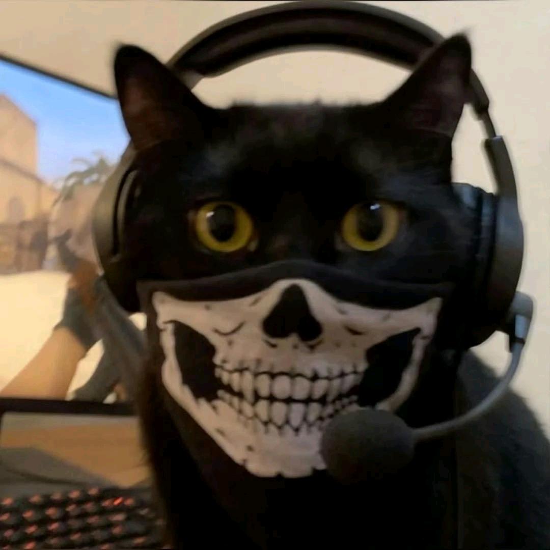 乐不是🐷（暗区pc转州版）