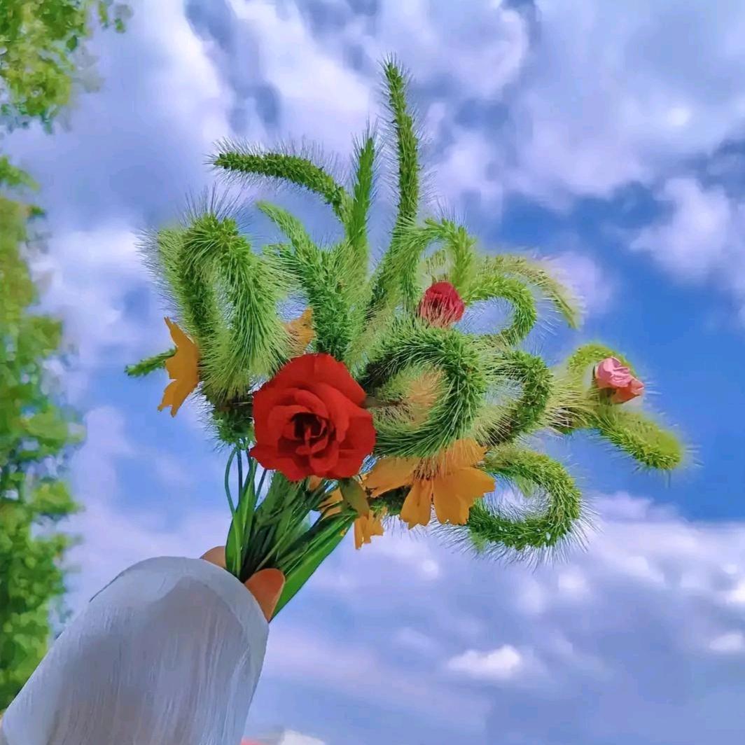 雨汐颜花卉园艺1