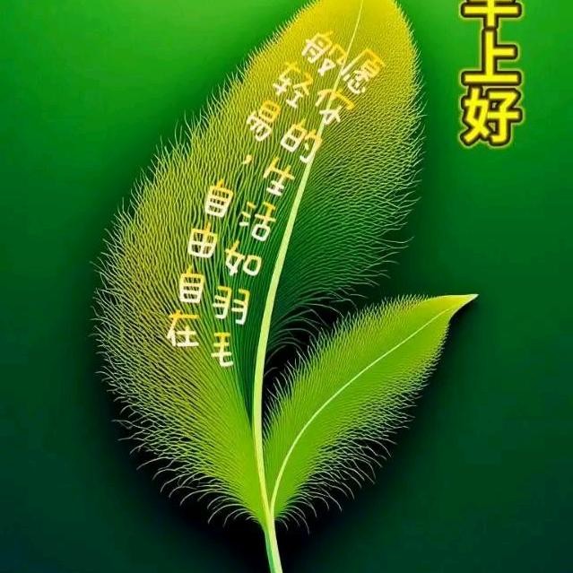 石来运转！每天开心！