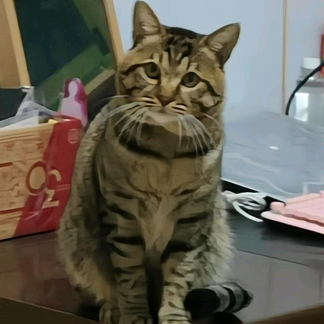 我爱我家