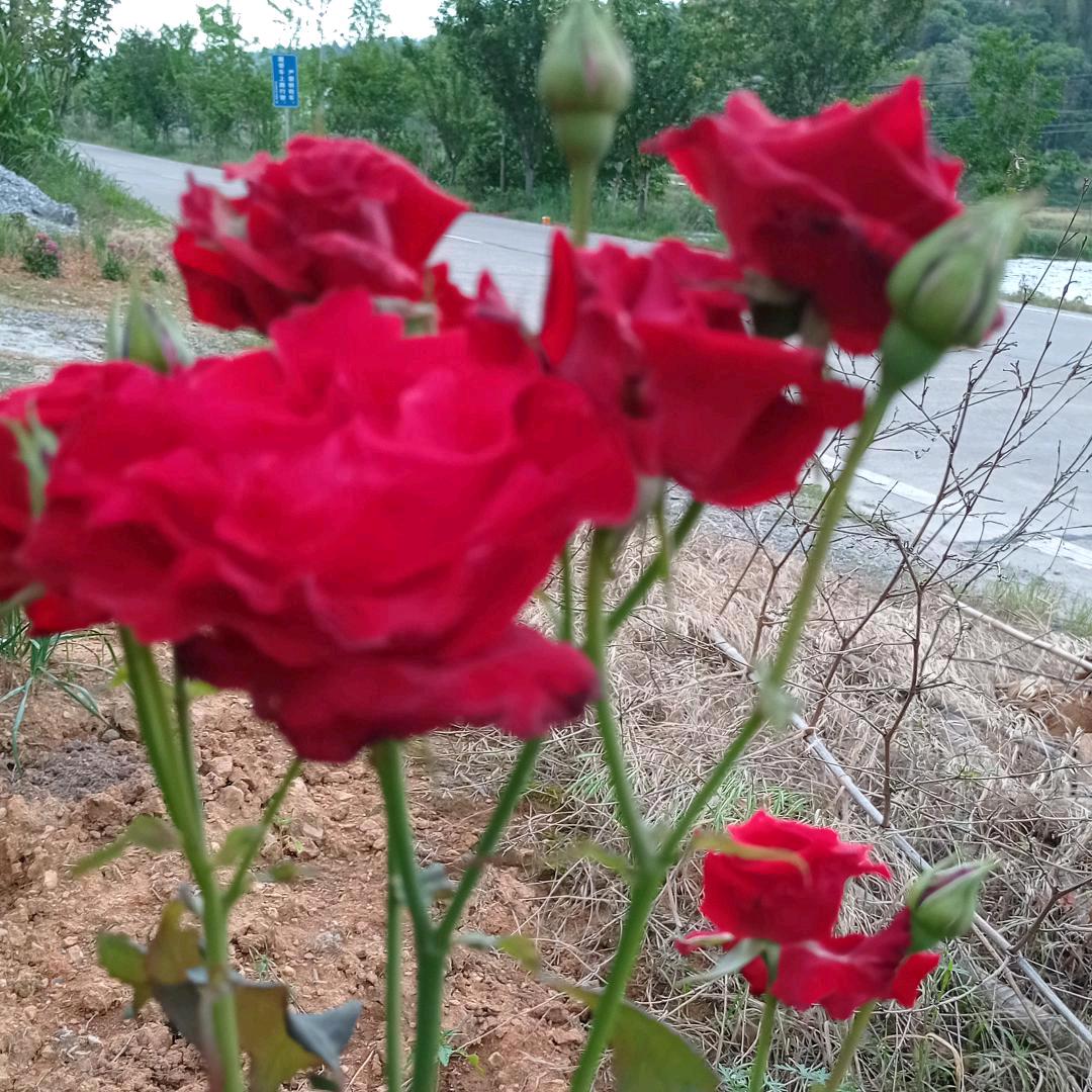 开开心心过好每一天。